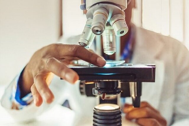 ضعف انسجام علمی، بستر رشد شبه‌علم در ایران را فراهم کرده است