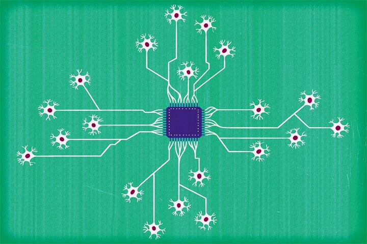 از رایانه‌هایی که با سلول‌های مغز انسان کار می‌کنند، چه می‌دانید؟