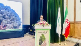 معاون استاندار یزد: سرو ابرکوه گنجینه‌ای جهانی و نماد هویت ایرانی است