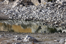 آب رودخانه رازآور وارد هشیلان شد