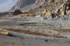 یک مسئول: آب تا حدودی به تالاب «هشیلان» برگشته است