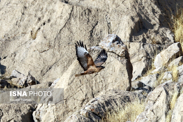 نفس‌ِ تنگ «هشیلان» زیر سایه خشکسالی