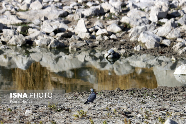 نفسِ تنگ «هشیلان» زیر سایه خشکسالی