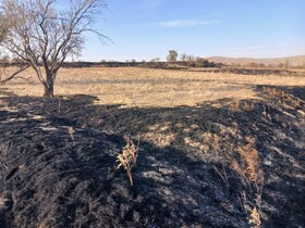 رئیس منابع طبیعی: اراضی ملی و مراتع روستای «اُردکلو» ملایر از حریق در امان مانده‌اند 