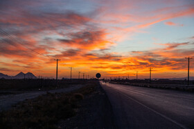 پیش از بالا آمدن خورشید، کارگران کار چیدن زعفران را شروع می‌کنند. 
