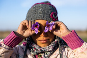 زعفران یکی از محصولات مهم و رو به رشد استان است که توسعه صادرات این محصول با ارزش می‌تواند اثرات اقتصادی قابل توجهی برای منطقه داشته باشد.