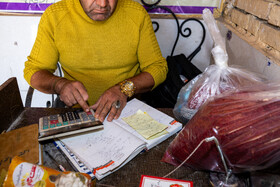 تربت حیدریه یکی از مراکز اصلی تولید زعفران در ایران بشمار می‌رود و به همین جهت از نقاط مختلف کشور برای خرید این محصول به این شهر می‌آیند.