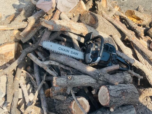 دستگیری متخلف قطع درختان بلوط در دشت برم کازرون