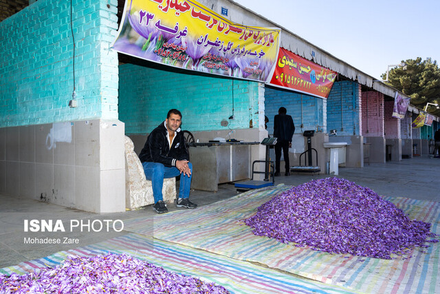 روزهای بنفش در کویر، شبهای بیسود در بازار