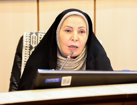 عضو شورای شهر: استفاده درست از ظرفیت بافت تاریخی یزد می‌تواند الگوی ملی باشد