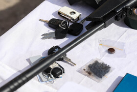 دستگیری باند ۴ نفره تبهکاری - یزد