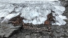 کشفی منحصربفرد با آب شدن یخ