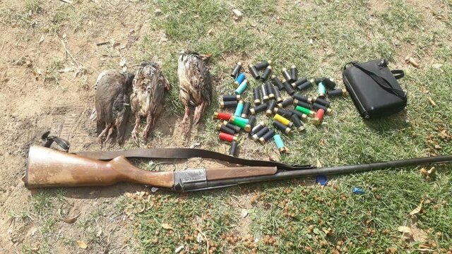 شکارچیان متخلف در دام یگان حفاظت محیط‌ زیست زابل