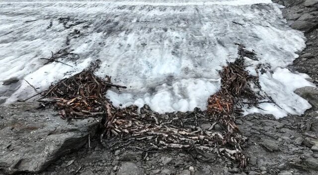 کشفی منحصربفرد با آب شدن یخ