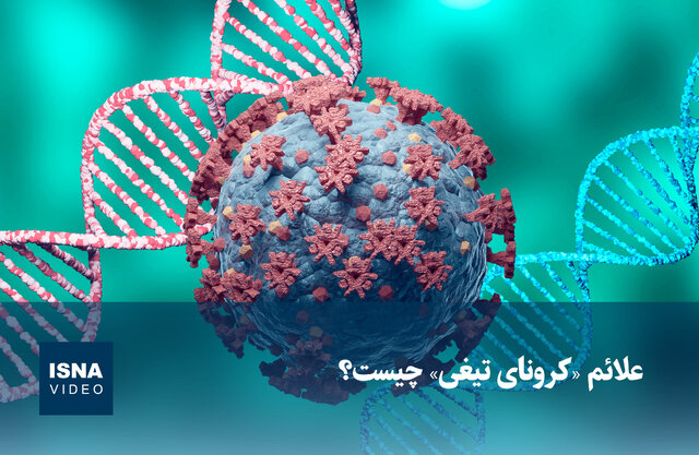 ویدیو/ علائم «کرونای تیغی» چیست؟ ویدیو/ علائم «کرونای تیغی» چیست؟