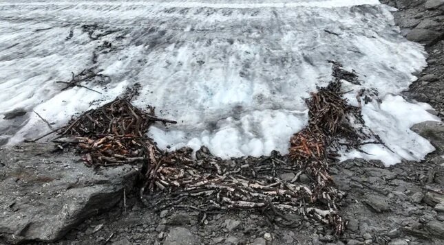 کشفی منحصربفرد با آب شدن یخ