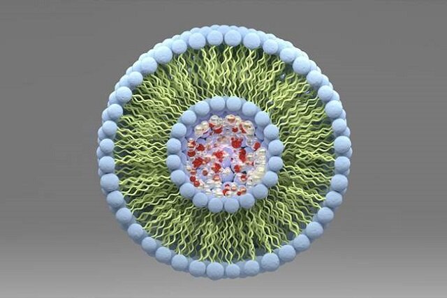 استانداردسازی فناوری نانو در حوزه نانولیپوزومها و ارزیابی ایمنی نانومواد استانداردسازی فناوری نانو در حوزه نانولیپوزومها و ارزیابی ایمنی نانومواد