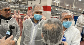 روند تولید و بسته بندی انواع گوشت و فرآورده‌های پروتئینی بررسی شد/ پیگیری تخصیص ارز برای واردات گوشت