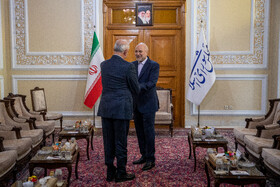 دیدار «علی حسن خلیل» معاون سیاسی رئیس مجلس لبنان با محمد باقر قالیباف