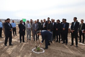 احداث نیروگاه خورشیدی، گامی مهم در پایداری برق صنایع استان است