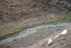 بازدید اصحاب رسانه از وضعیت تالاب قوری‌گل و مسیر انتقال آب