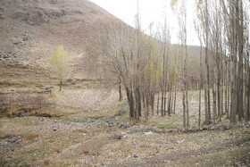 بازدید اصحاب رسانه از وضعیت تالاب قوری‌گل و مسیر انتقال آب