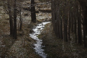 بازدید اصحاب رسانه از وضعیت تالاب قوری‌گل و مسیر انتقال آب