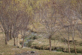 بازدید اصحاب رسانه از وضعیت تالاب قوری‌گل و مسیر انتقال آب