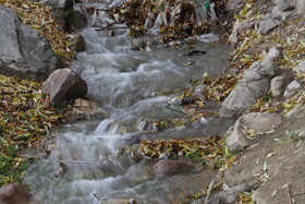 بازدید اصحاب رسانه از وضعیت تالاب قوری‌گل و مسیر انتقال آب