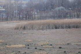 بازدید اصحاب رسانه از وضعیت تالاب قوری‌گل و مسیر انتقال آب