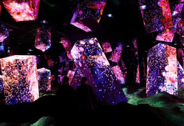 یک نمایشگاه غوطهور!