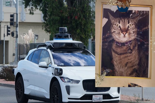 تشدید موج انتقادات از تاکسی رباتیک «ویمو» به دنبال مرگ یک گربه!