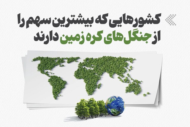 اینفوگرافیک/ کشورهایی که بیشترین سهم را از جنگل‌های کره زمین دارند
