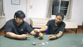 کشف محموله بزرگ قاچاق میمون و بازداشت ۲ مظنون در تایلند