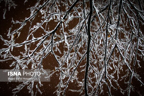 هشدار زرد هواشناسی درباره یخبندان در البرز