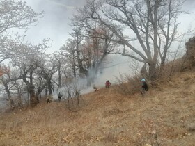 تلاش برای مهار آتش‌سوزی گسترده الیت چالوس با سه بالگرد