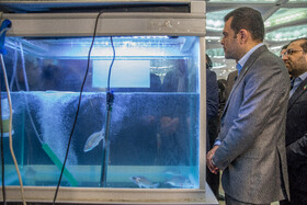 حسین افشین، معاون علمی و فناوری رئیس جمهور در مراسم افتتاحیه نمایشگاه توانمندی‌های اقتصاد دریا محور