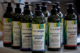 مراسم افتتاحیه نمایشگاه توانمندی‌های اقتصاد دریا محور