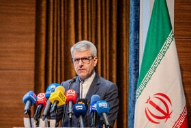 اسماعیل بقایی، سخنگوی وزارت خارجه در همایش بین المللی جانبازان شیمیایی