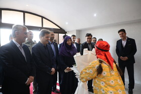 استقبال از شینا انصاری معاون رئیس‌جمهور و رئیس سازمان حفاظت محیط زیست کشور در فرودگاه اردبیل