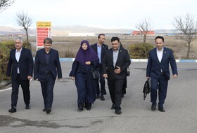 استقبال از شینا انصاری معاون رئیس‌جمهور و رئیس سازمان حفاظت محیط زیست کشور در فرودگاه اردبیل