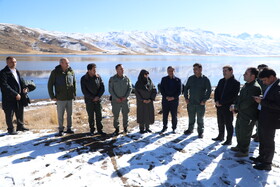 بازدید شینا انصاری معاون رئیس‌جمهور و رئیس سازمان حفاظت محیط زیست کشور از تالاب نئور