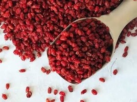 زرشک چگونه به تعادل صفرا و سلامت کبد کمک می کند؟