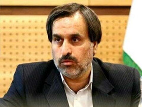 حسین نژاد: اختیارات تفویضی به استانداران باید مولد باشد