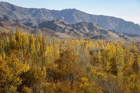 کوچه‌های سرخِ روستای هزاران‌ساله
