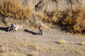 کوچههای سرخِ روستای هزارانساله