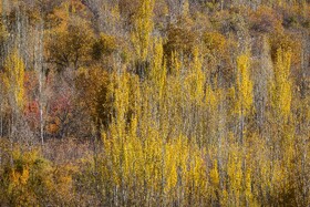 کوچه‌های سرخِ روستای هزاران‌ساله
