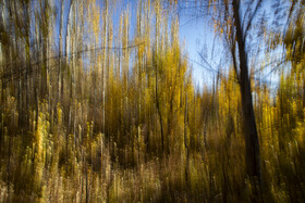 کوچه‌های سرخِ روستای هزاران‌ساله
