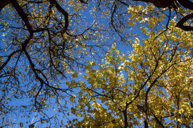 کوچه‌های سرخِ روستای هزاران‌ساله
