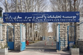 تحقیقات موسسه رازی در زمینه زهر عقرب و کاربردهای درمانی